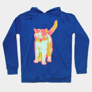 Needy Cat Hoodie